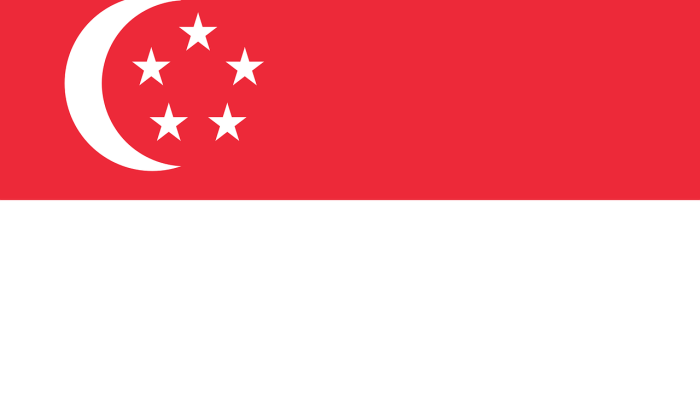 SINGAPORE FLAG