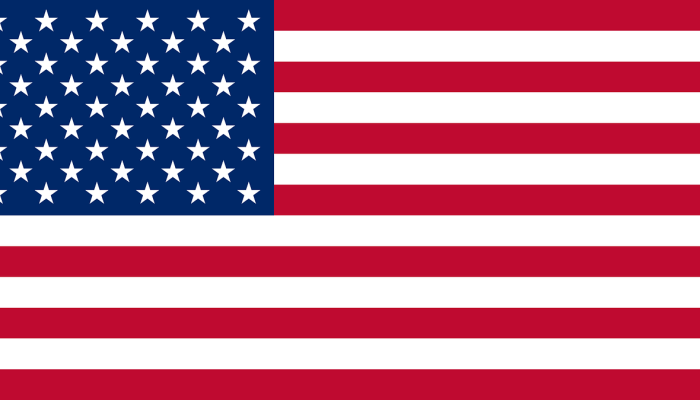 USA FLAG